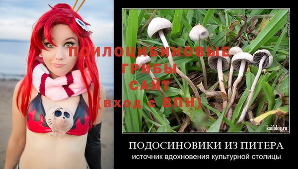 ECSTASY Горно-Алтайск