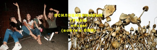 марихуана Горнозаводск