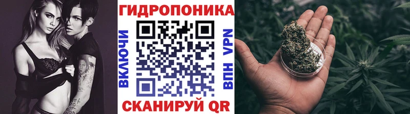 Канабис ГИДРОПОН  Чулым 